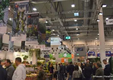 One of the 8 halls of Messe Essen